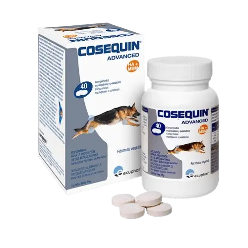 cosequin_04_0-removebg-preview cosequin_04_0-removebg-preview