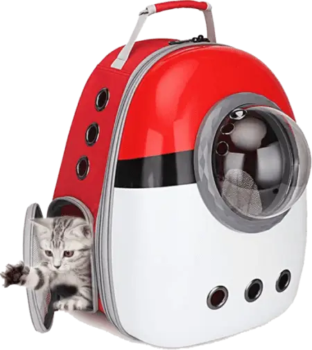 rev_home6_09.png rev_home6_09.png