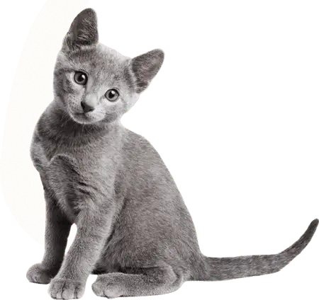 rev_home6_10.png rev_home6_10.png