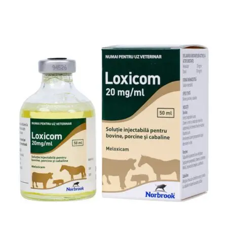 Loxicom 20 mg – Sirop Large Animals 50 ml