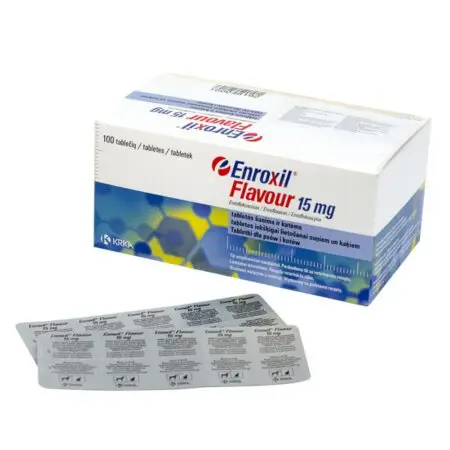 Enroxil Flavour – 10 tablete