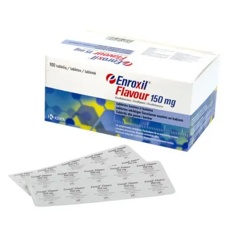 Enroxil Flavour – 10 tablete