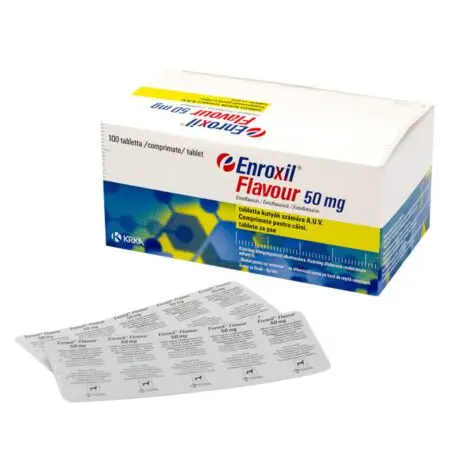 Enroxil Flavour – 10 tablete
