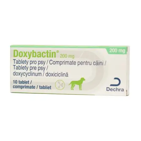 Doxybactin 200 mg x 10 tab Câine/Pisică