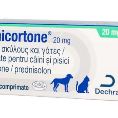 Prednicortone 20 mg – 100 tablete