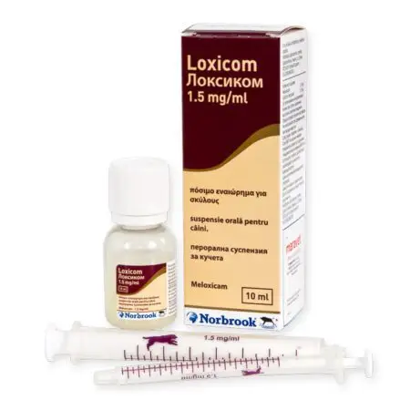 Loxicom 1.5 mg – Sirop Large Animals 50 ml