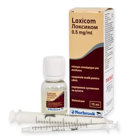 Loxicom 20 mg – Sirop Large Animals 50 ml