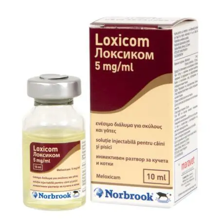 Loxicom 5 mg – Sirop Large Animals 50 ml