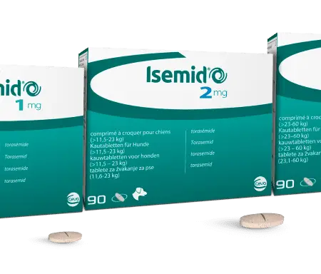 Isemid comprimate