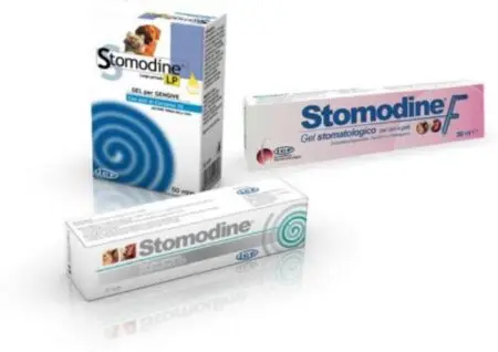 Stomodine LP – Gel Antiseptic pentru Gingii (30 mL)