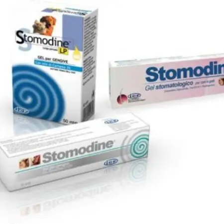 Stomodine LP – Gel Antiseptic pentru Gingii (30 mL)