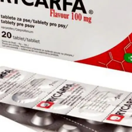 Rycarfa Flavour – 20 comprimate