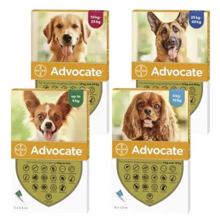 ADVOCATE Câine 3 PIPETE