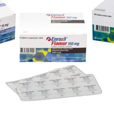 Enroxil Flavour – 10 tablete