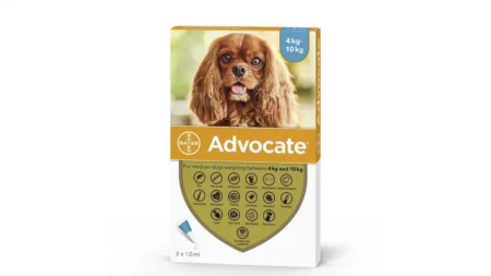 ADVOCATE Câine 4-10 KG 3 PIPETE