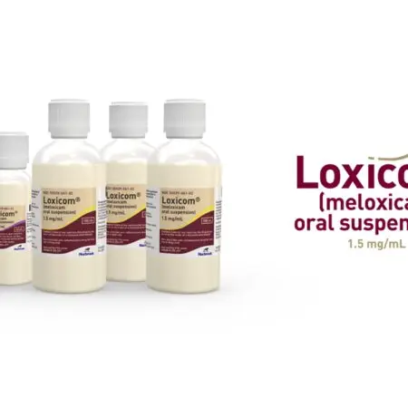 Loxicom sirop