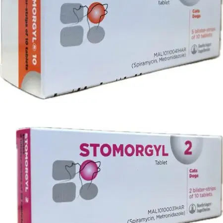 Stomorgyl – 10 comprimate