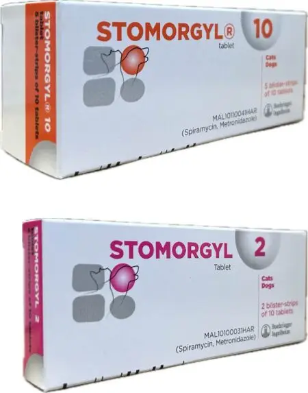 Stomorgyl – 10 comprimate