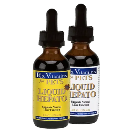 RX LIQUID HEPATO x 120ml