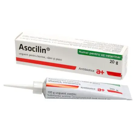 Asocilin, unguent tip suspensie, flacon – 20 g