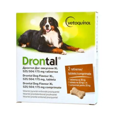 Drontal Dog Flavour XL – 1Tabletă