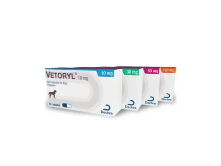 VETORYL – 30 comprimate