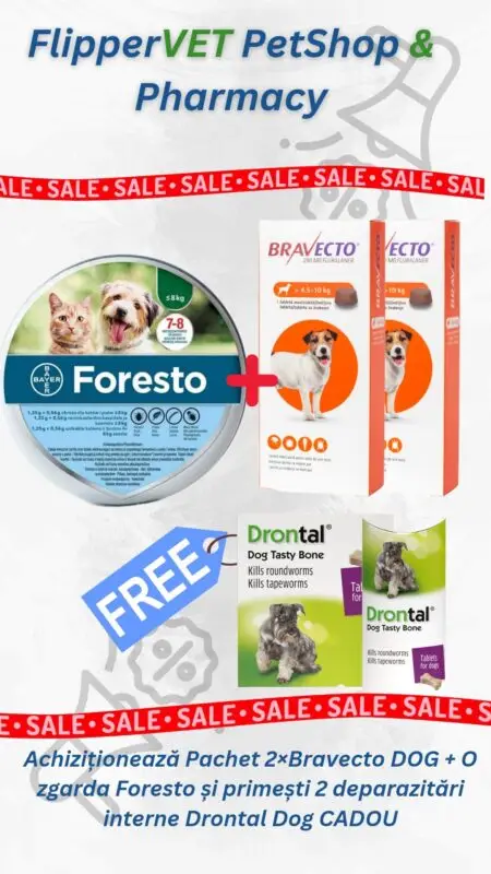 Oferte deparazitare 6 luni: Bravecto x2 + Foresto + Drontal (Gratis)