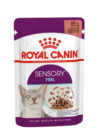 sensory-feel