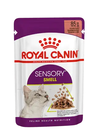 sensory-smell