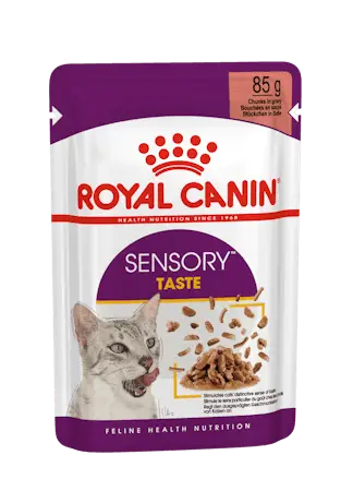 sensory-taste