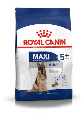Royal Canin MAXI ADULT 5+, Hrană Uscată