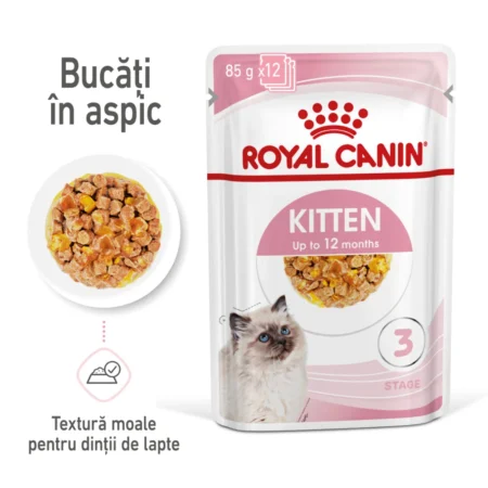 Royal Canin KITTEN Plic Sos, Hrană Umedă