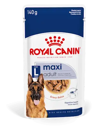 Royal Canin MAXI ADULT GRAVY PLIC SOS 140g, Hrană Umedă