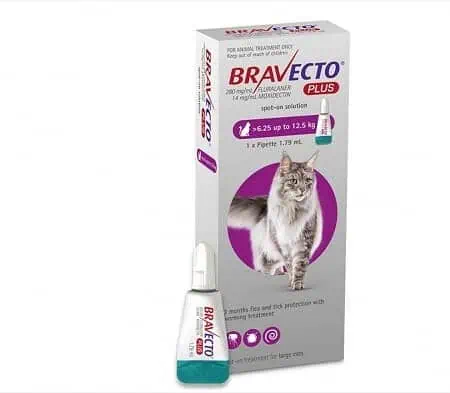 Bravecto Plus Spot On Cat 500 mg (6.25 - 12.5 kg), 1 pipeta
