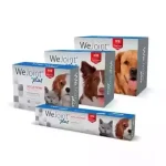 WeJoint Caini