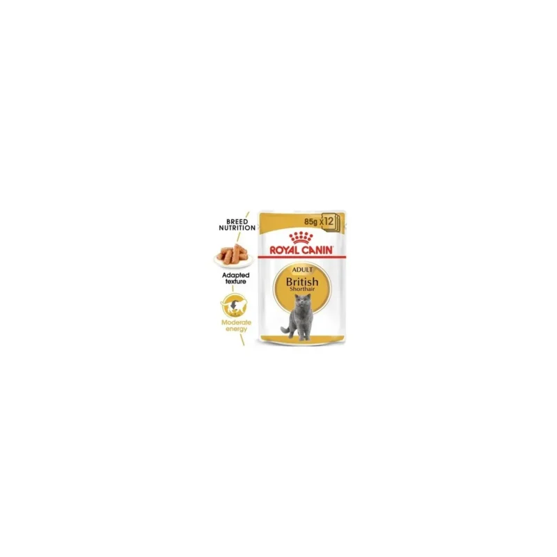 Royal Canin British Shorthair Plic Sos – Hrană Umedă 12x85g