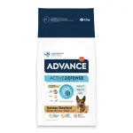 Advance Ciobanesc German