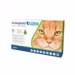 stronghold plus