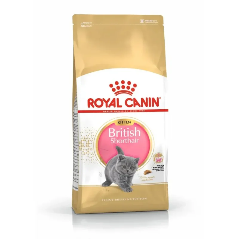 Royal Canin Maine Coon Kitten – Hrană Uscată pentru Creștere Prelungită și Oase Puternice