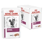 Royal Canin Early Renal Pisici