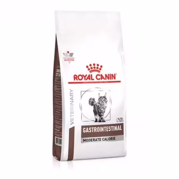 Royal Canin Gastrointestinal Moderate Calorie Pisică – Dietă Veterinară pentru Pancreatită și Controlul Greutății