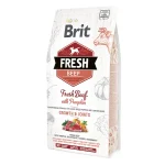 Brit Fresh Beef and Pumpkin Puppy Large 2.5kg
