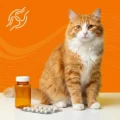 Antiinflamatoare