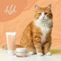 Dermatologice