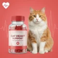 Cardiace