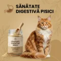 Digestive