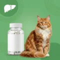 Hepatice
