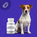 Antibiotice