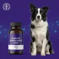 Neurologice