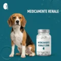 Renale